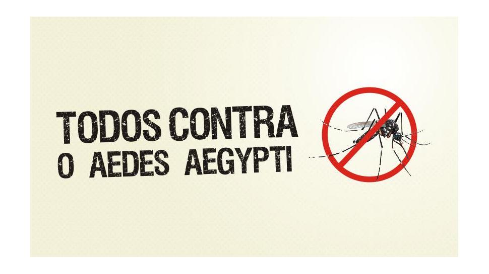 População deve tomar cuidados com o mosquito Aedes aegypti no verão