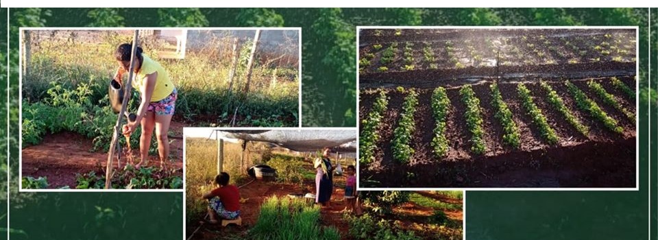 Prefeitura de São João das Missões e Secretaria Municipal de Agricultura em parceria com a Emater-mg, implanta Horta Comunitária